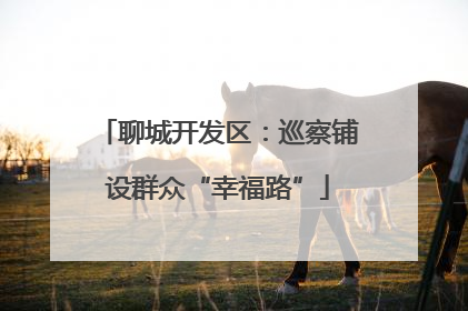 聊城开发区：巡察铺设群众“幸福路”