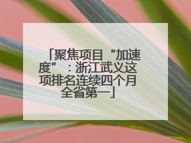 聚焦项目“加速度”：浙江武义这项排名连续四个月全省第一