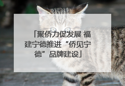 聚侨力促发展 福建宁德推进“侨见宁德”品牌建设