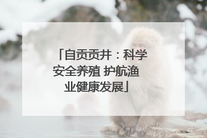 自贡贡井：科学安全养殖 护航渔业健康发展