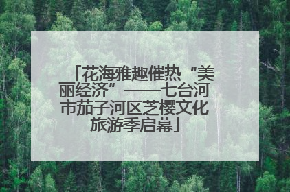 花海雅趣催热“美丽经济”——七台河市茄子河区芝樱文化旅游季启幕