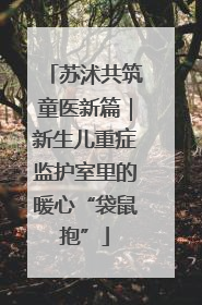 苏沭共筑童医新篇｜新生儿重症监护室里的暖心“袋鼠抱”