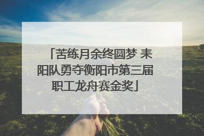 苦练月余终圆梦 耒阳队勇夺衡阳市第三届职工龙舟赛金奖