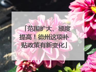 范围扩大、额度提高！德州这项补贴政策有新变化