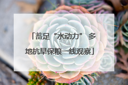 蓄足“水动力” 多地抗旱保粮一线观察