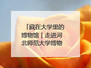 藏在大学里的博物馆｜走进河北师范大学博物馆天地科学馆：在校园里赴一场“宇宙之约”