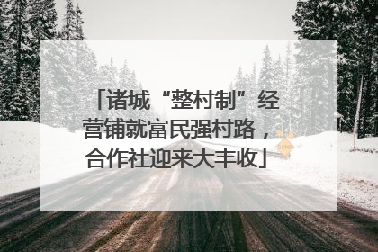 诸城“整村制”经营铺就富民强村路，合作社迎来大丰收