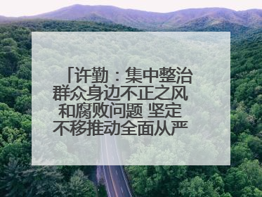 许勤：集中整治群众身边不正之风和腐败问题 坚定不移推动全面从严治党向基层延伸
