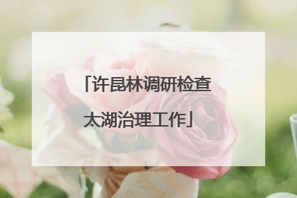 许昆林调研检查太湖治理工作