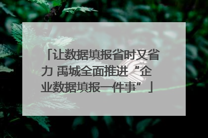 让数据填报省时又省力 禹城全面推进“企业数据填报一件事”