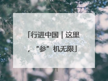 行进中国｜这里，“参”机无限