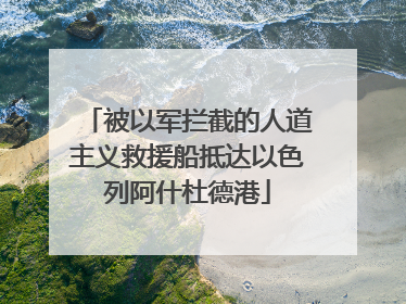 被以军拦截的人道主义救援船抵达以色列阿什杜德港