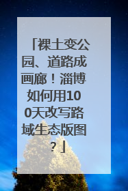 裸土变公园、道路成画廊！淄博如何用100天改写路域生态版图？