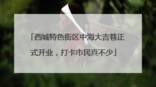 西城特色街区中海大吉巷正式开业，打卡市民真不少