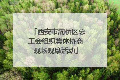 西安市灞桥区总工会组织集体协商现场观摩活动