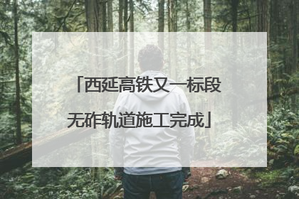 西延高铁又一标段无砟轨道施工完成