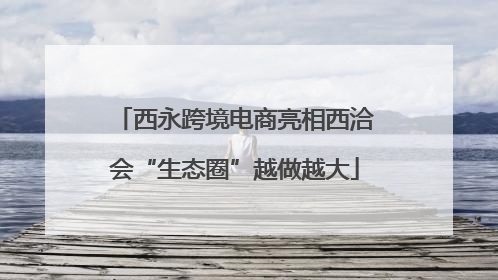 西永跨境电商亮相西洽会“生态圈”越做越大