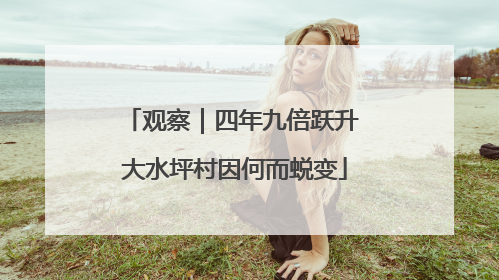 观察｜四年九倍跃升 大水坪村因何而蜕变