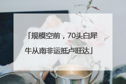 规模空前，70头白犀牛从南非运抵卢旺达
