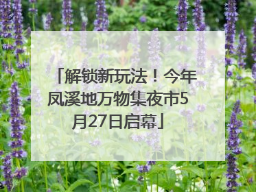 解锁新玩法！今年凤溪地万物集夜市5月27日启幕