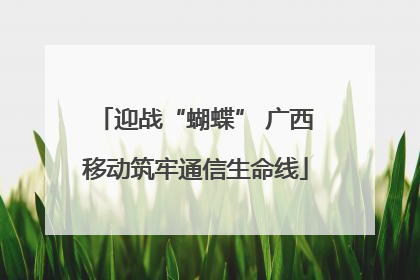 迎战“蝴蝶” 广西移动筑牢通信生命线