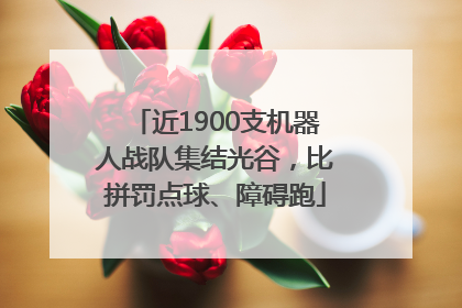近1900支机器人战队集结光谷，比拼罚点球、障碍跑
