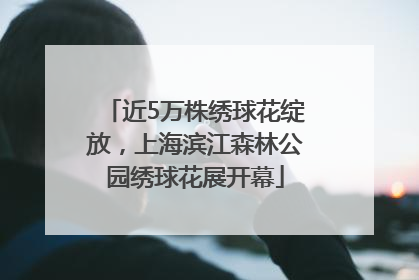 近5万株绣球花绽放，上海滨江森林公园绣球花展开幕
