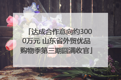 达成合作意向约3000万元 山东省外贸优品购物季第三期圆满收官