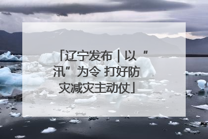 辽宁发布｜以“汛”为令 打好防灾减灾主动仗