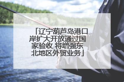 辽宁葫芦岛港口岸扩大开放通过国家验收 将增强东北地区外贸业务