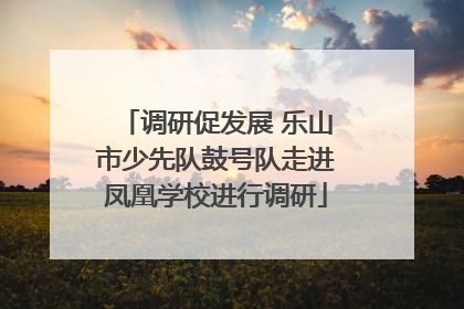 调研促发展 乐山市少先队鼓号队走进凤凰学校进行调研
