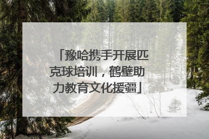 豫哈携手开展匹克球培训，鹤壁助力教育文化援疆