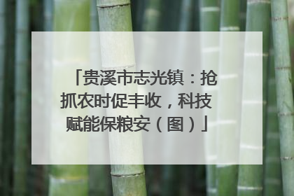 贵溪市志光镇：抢抓农时促丰收，科技赋能保粮安（图）