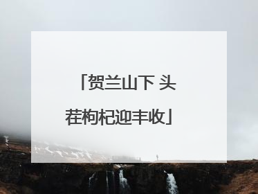 贺兰山下 头茬枸杞迎丰收