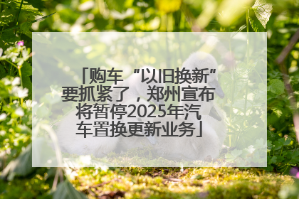 购车“以旧换新”要抓紧了，郑州宣布将暂停2025年汽车置换更新业务