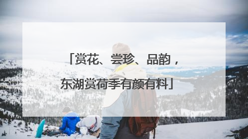 赏花、尝珍、品韵，东湖赏荷季有颜有料