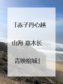 赤子丹心越山海 嘉木长青映榕城