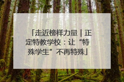 走近榜样力量｜正定特教学校：让“特殊学生”不再特殊