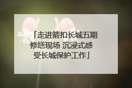走进箭扣长城五期修缮现场 沉浸式感受长城保护工作
