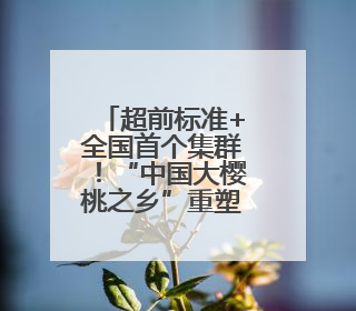 超前标准+全国首个集群！“中国大樱桃之乡”重塑产业标杆