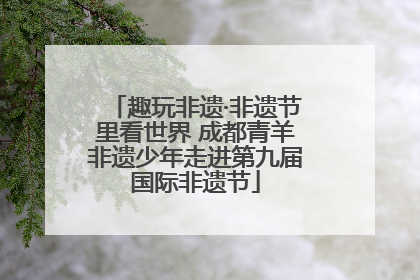 趣玩非遗·非遗节里看世界 成都青羊非遗少年走进第九届国际非遗节