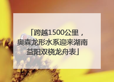 跨越1500公里，奥森龙形水系迎来湖南益阳双桡龙舟表