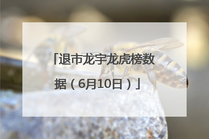 退市龙宇龙虎榜数据（6月10日）