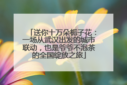 送你十万朵栀子花：一场从武汉出发的城市联动，也是爷爷不泡茶的全国绽放之旅