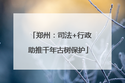 郑州：司法+行政助推千年古树保护
