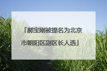 郝宝刚被提名为北京市朝阳区副区长人选