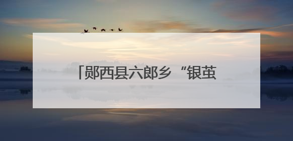 郧西县六郎乡“银茧”织就振兴“金路”