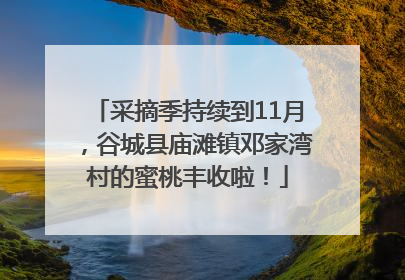 采摘季持续到11月，谷城县庙滩镇邓家湾村的蜜桃丰收啦！