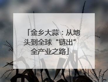 金乡大蒜：从地头到全球“链出”全产业之路
