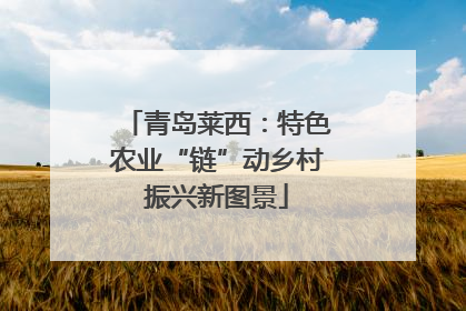 青岛莱西：特色农业“链”动乡村振兴新图景